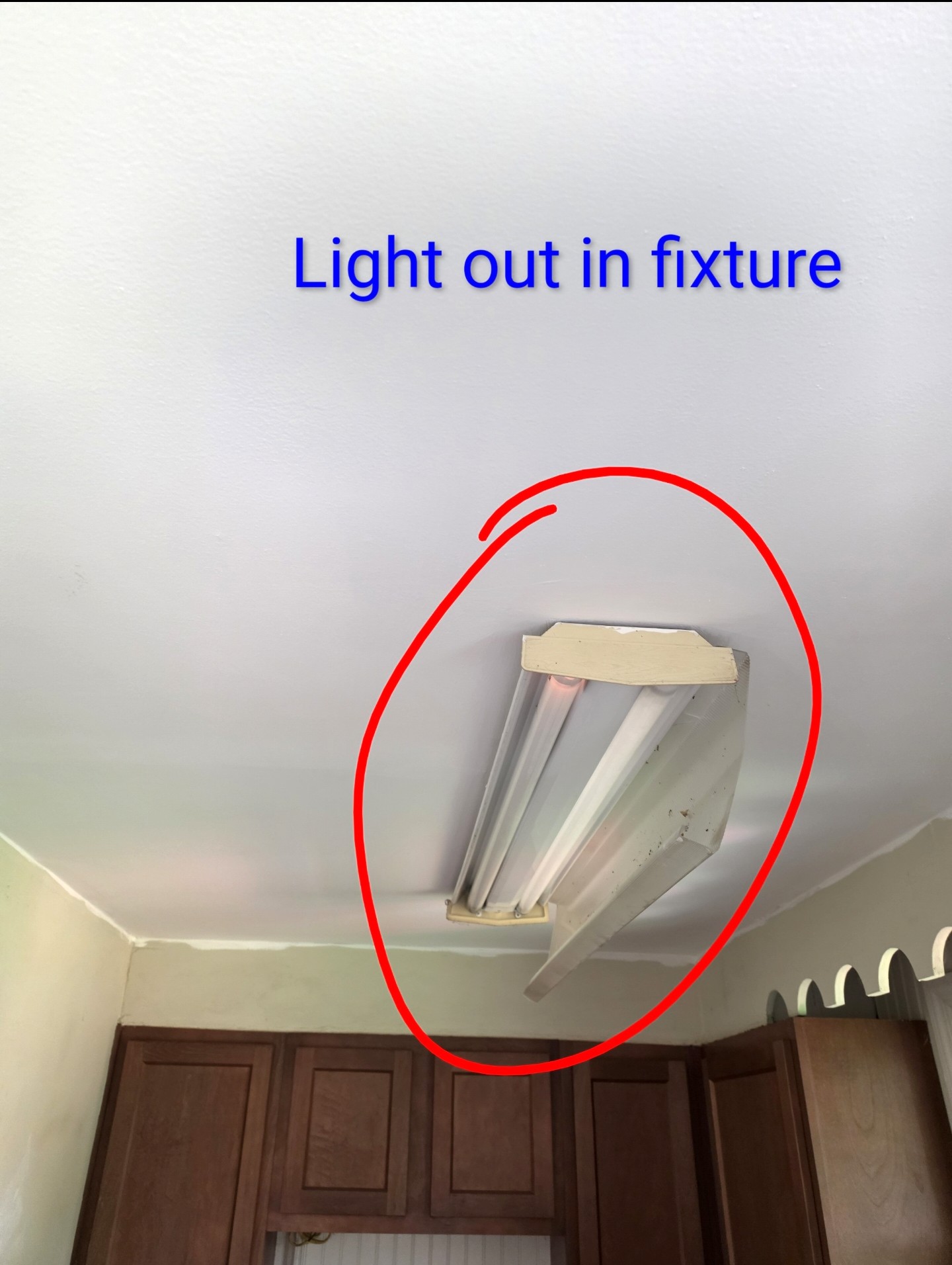 Downspout needs connection — tagged on-site